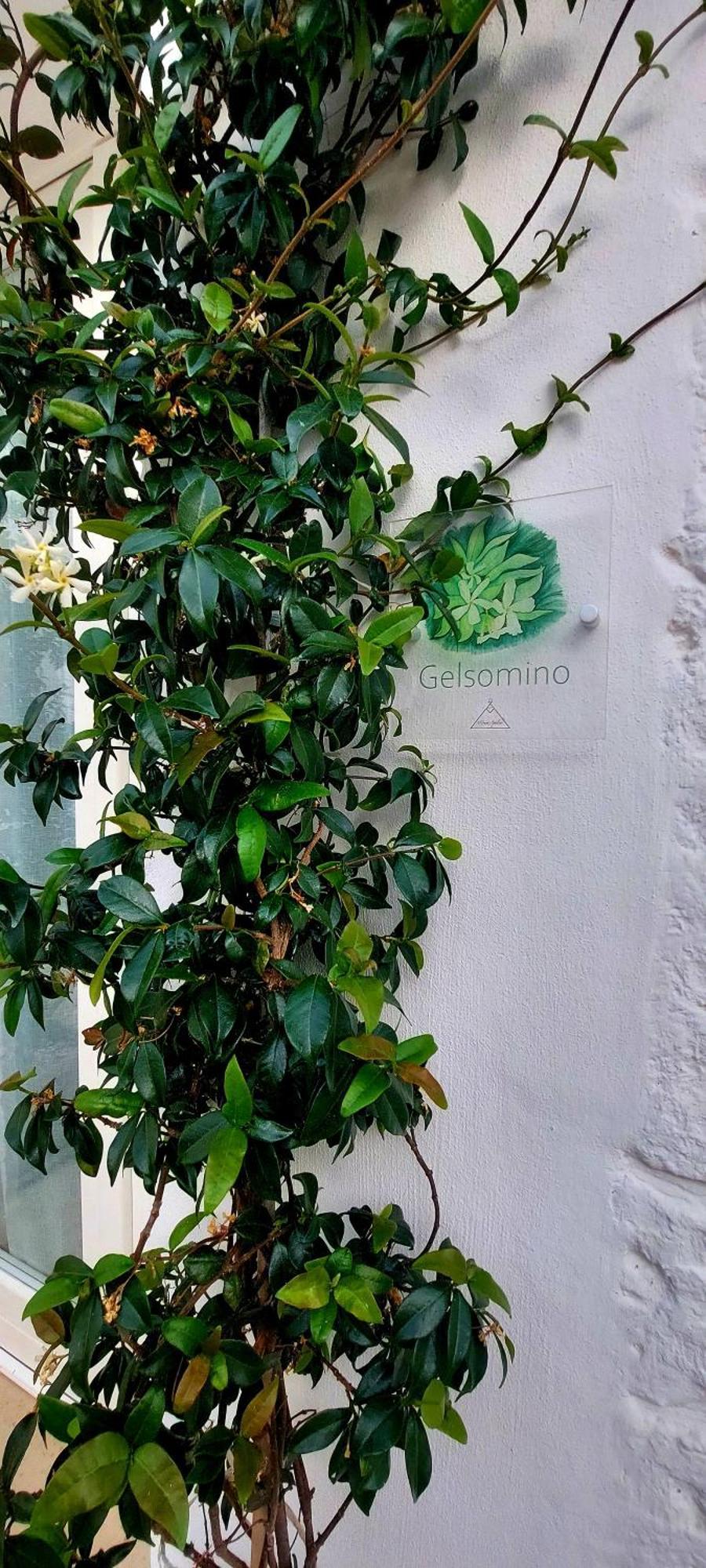 Mirum Apuliae Alberobello Exterior foto